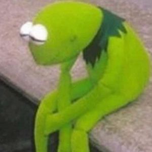 Meet your Posher, Dylan